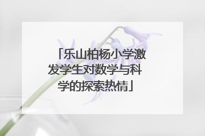 乐山柏杨小学激发学生对数学与科学的探索热情