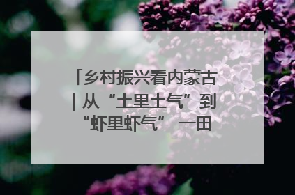 乡村振兴看内蒙古｜从“土里土气”到“虾里虾气” 一田双收模式火出圈