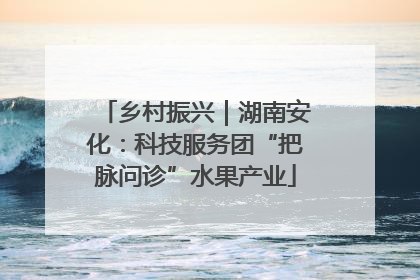乡村振兴｜湖南安化：科技服务团“把脉问诊”水果产业