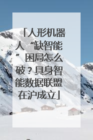 人形机器人“缺智能”困局怎么破？具身智能数据联盟在沪成立