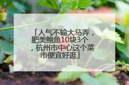 人气不输大马弄，肥美鲍鱼10块3个，杭州市中心这个菜市便宜好逛