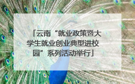 云南“就业政策暨大学生就业创业典型进校园”系列活动举行