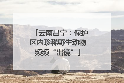 云南昌宁：保护区内珍稀野生动物频频“出镜”