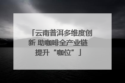云南普洱多维度创新 助咖啡全产业链提升“咖位”