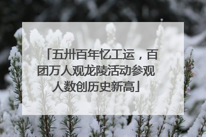 五卅百年忆工运，百团万人观龙陵活动参观人数创历史新高