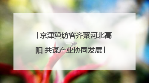 京津冀纺客齐聚河北高阳 共谋产业协同发展