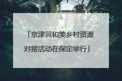 京津冀和美乡村资源对接活动在保定举行