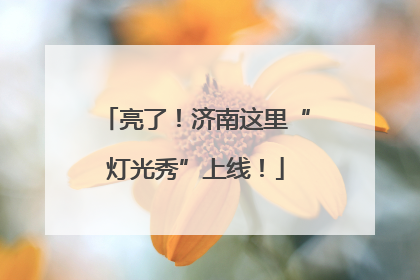 亮了！济南这里“灯光秀”上线！