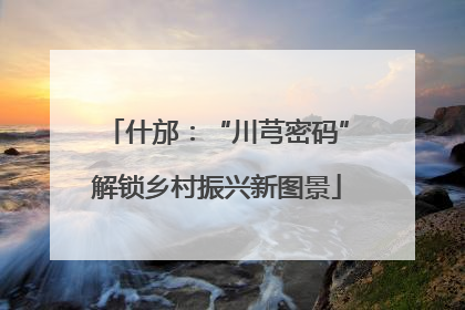 什邡：“川芎密码”解锁乡村振兴新图景