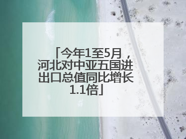 今年1至5月，河北对中亚五国进出口总值同比增长1.1倍