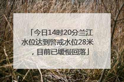 今日14时20分兰江水位达到警戒水位28米，目前已缓慢回落