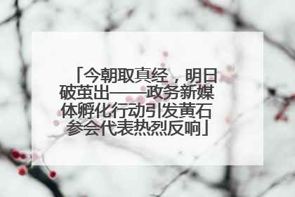 今朝取真经，明日破茧出——政务新媒体孵化行动引发黄石参会代表热烈反响