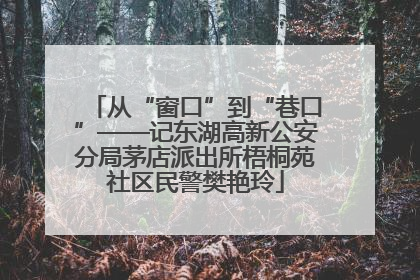 从“窗口”到“巷口”——记东湖高新公安分局茅店派出所梧桐苑社区民警樊艳玲