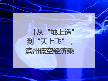 从“地上造”到“天上飞”，滨州低空经济乘势而上｜潮起渤海・网聚黄蓝