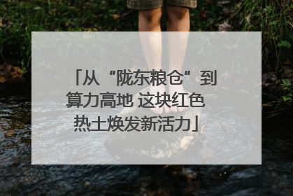 从“陇东粮仓”到算力高地 这块红色热土焕发新活力