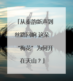 从秦韵新声到丝路回响 这朵“梅花”为何开在天山？