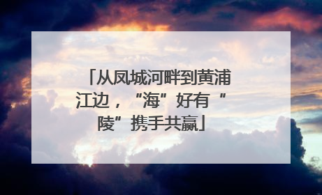 从凤城河畔到黄浦江边，“海”好有“陵”携手共赢
