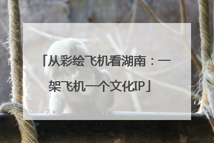 从彩绘飞机看湖南：一架飞机一个文化IP