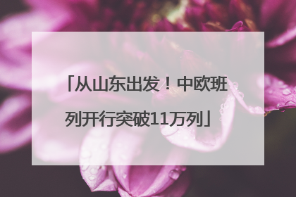 从山东出发！中欧班列开行突破11万列
