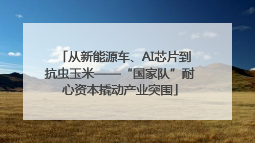 从新能源车、AI芯片到抗虫玉米——“国家队”耐心资本撬动产业突围