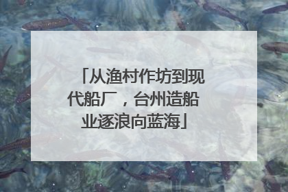从渔村作坊到现代船厂，台州造船业逐浪向蓝海