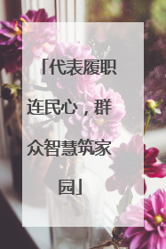 代表履职连民心，群众智慧筑家园