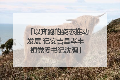 以奔跑的姿态推动发展 记安吉县孝丰镇党委书记沈强