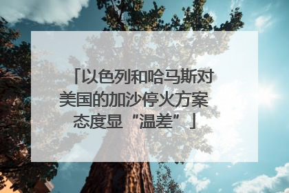 以色列和哈马斯对美国的加沙停火方案态度显“温差”