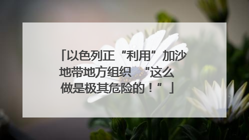 以色列正“利用”加沙地带地方组织  “这么做是极其危险的！”