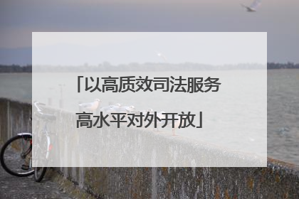 以高质效司法服务高水平对外开放