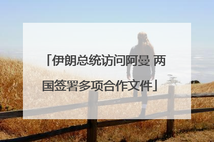伊朗总统访问阿曼 两国签署多项合作文件