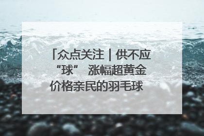 众点关注｜供不应“球” 涨幅超黄金 价格亲民的羽毛球为何身价飞涨？