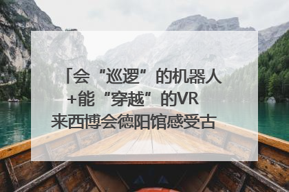 会“巡逻”的机器人+能“穿越”的VR 来西博会德阳馆感受古蜀文明与现代智造的时空对话｜西博视界