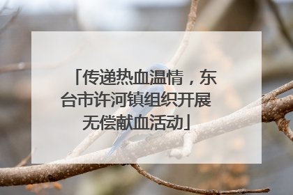 传递热血温情，东台市许河镇组织开展无偿献血活动