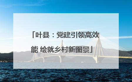 叶县：党建引领高效能 绘就乡村新图景