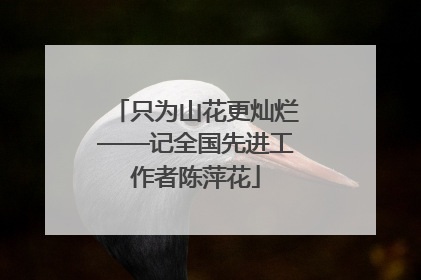 只为山花更灿烂——记全国先进工作者陈萍花