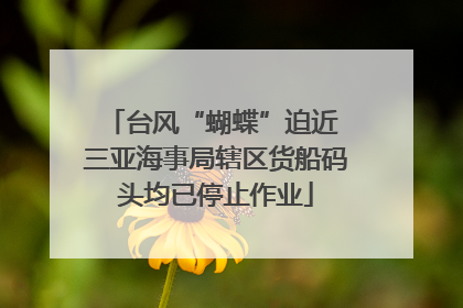 台风“蝴蝶”迫近 三亚海事局辖区货船码头均已停止作业