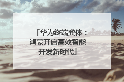 华为终端龚体：鸿蒙开启高效智能开发新时代