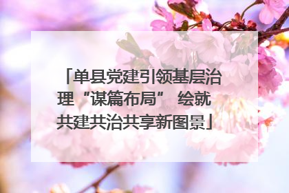 单县党建引领基层治理“谋篇布局” 绘就共建共治共享新图景