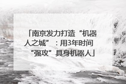 南京发力打造“机器人之城”：用3年时间“强攻”具身机器人