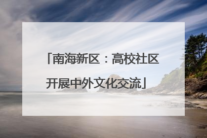 南海新区：高校社区开展中外文化交流