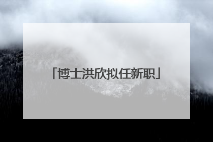 博士洪欣拟任新职