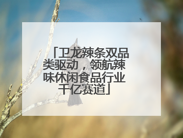 卫龙辣条双品类驱动，领航辣味休闲食品行业千亿赛道
