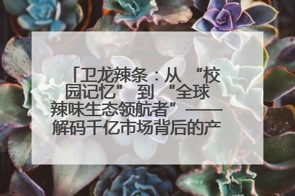 卫龙辣条：从 “校园记忆” 到 “全球辣味生态领航者”——解码千亿市场背后的产品创新与全链路破圈