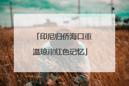 印尼归侨海口重温琼崖红色记忆