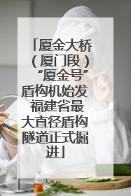 厦金大桥（厦门段）“厦金号”盾构机始发 福建省最大直径盾构隧道正式掘进