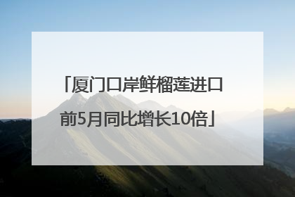 厦门口岸鲜榴莲进口 前5月同比增长10倍