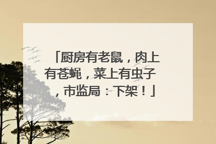 厨房有老鼠，肉上有苍蝇，菜上有虫子，市监局：下架！