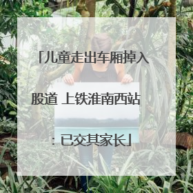 儿童走出车厢掉入股道 上铁淮南西站：已交其家长