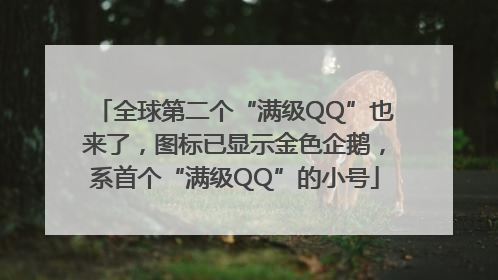全球第二个“满级QQ”也来了，图标已显示金色企鹅，系首个“满级QQ”的小号